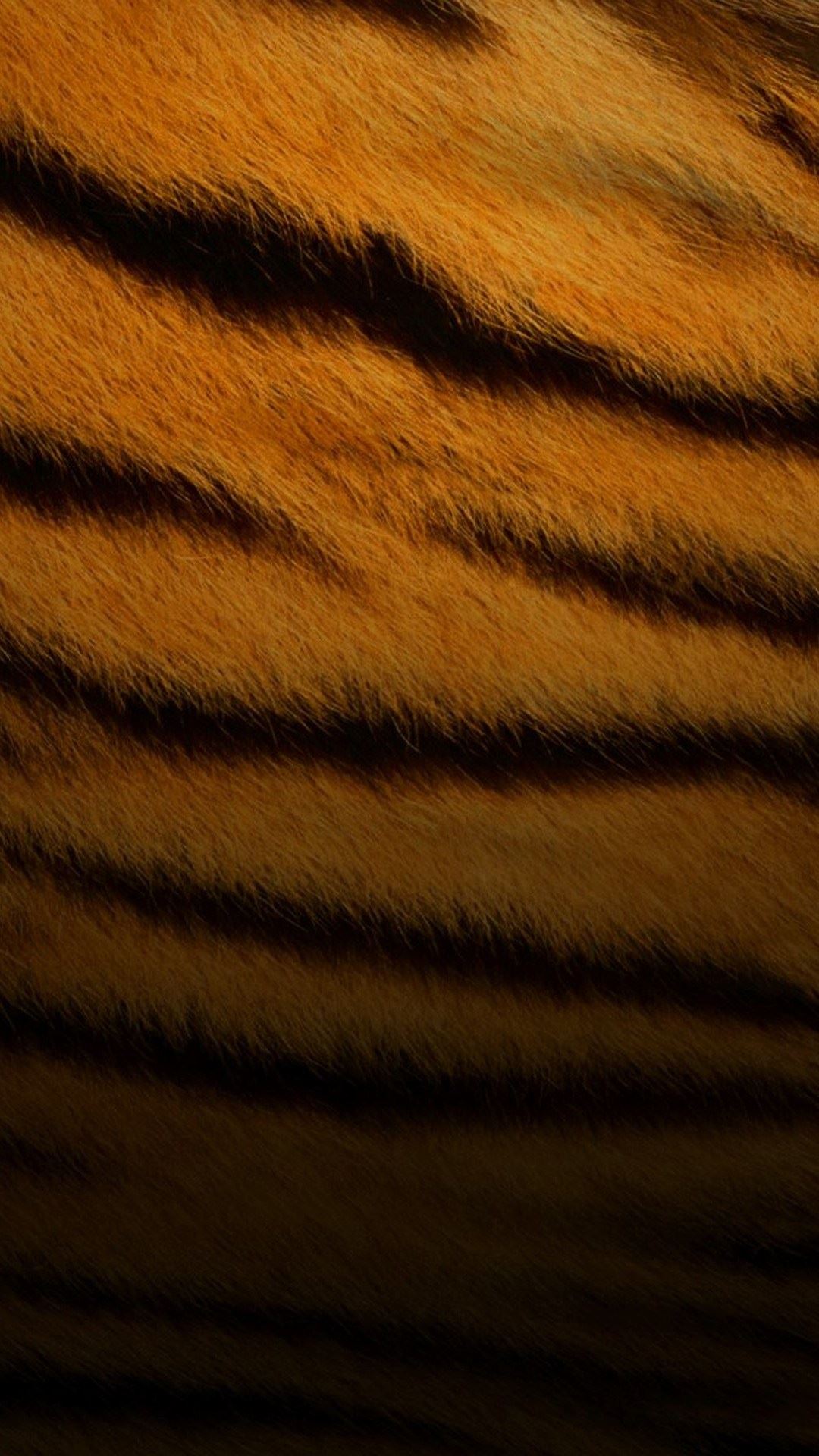 Download Tiger Stripes Wallpaper Hd Backgrounds Download Itl Cat - tiger skin roblox