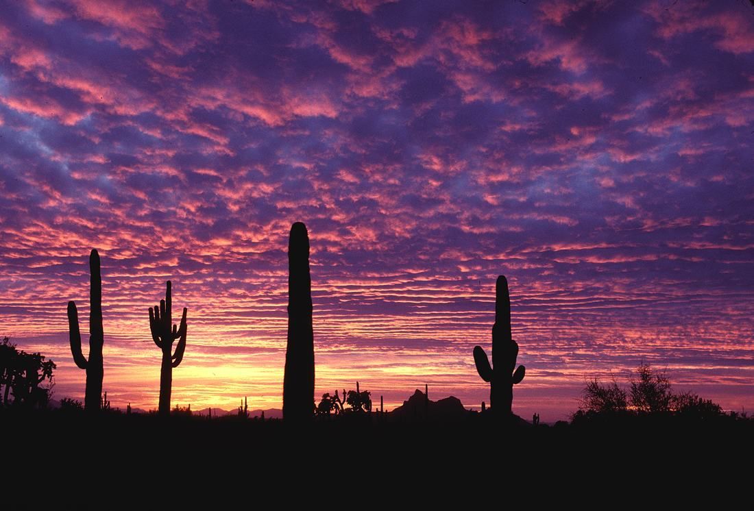 4k mac wallpaper arizona