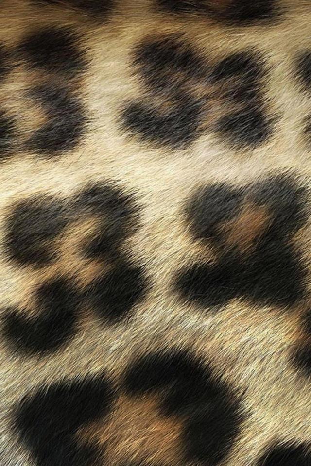 Leopard Print iPhone 5 Wallpaper