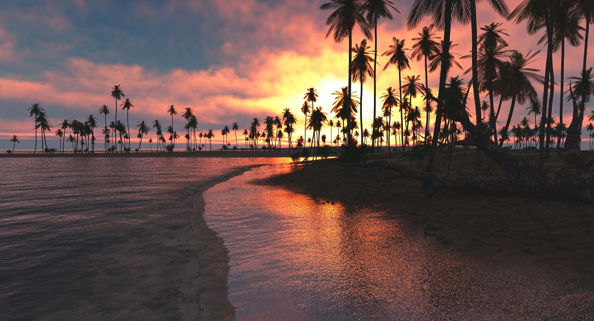 Download Palm Trees Sunset Wallpaper, HD Backgrounds Download - itl.cat