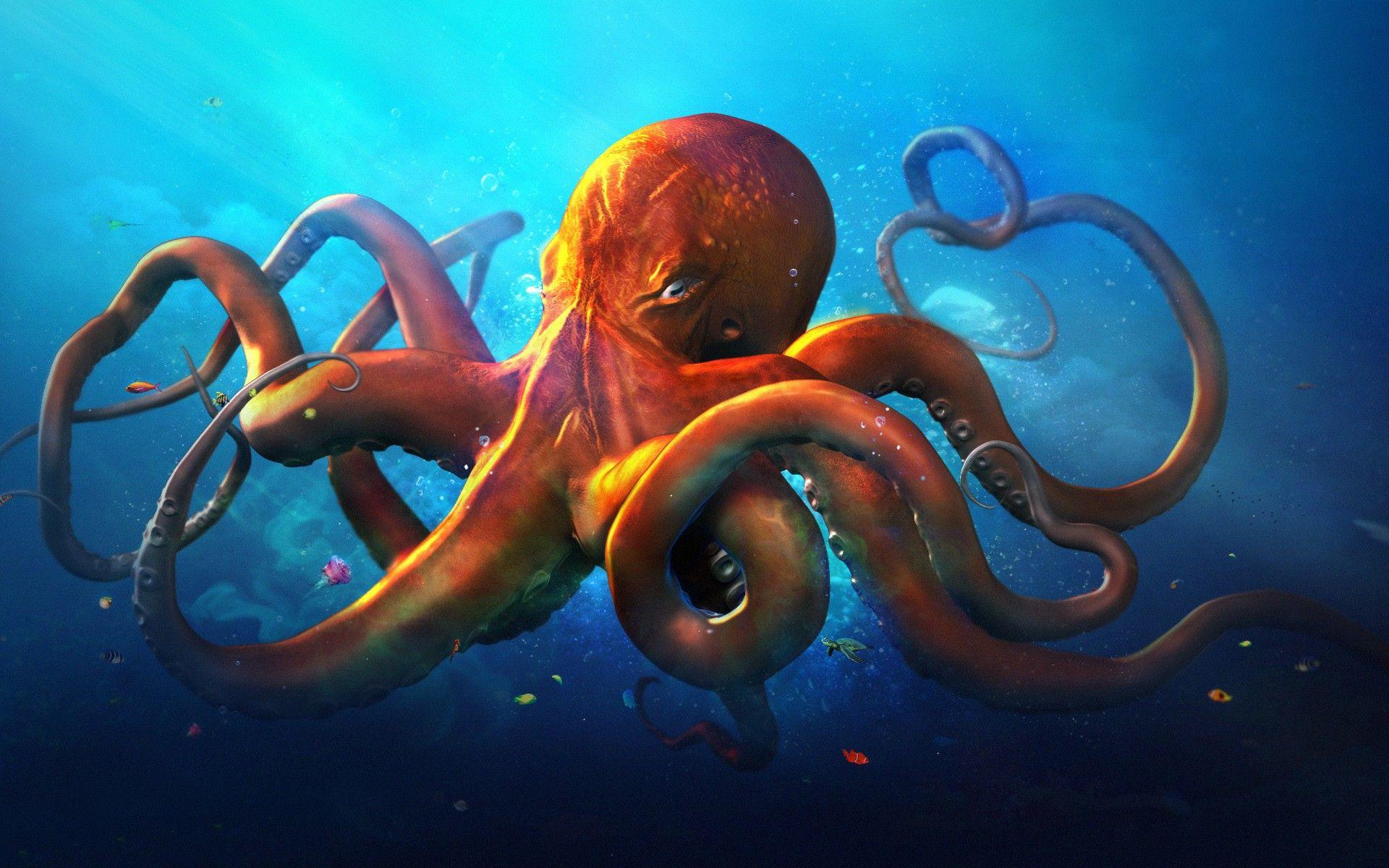 Download Octopus Wallpaper Hd Backgrounds Download Itl Cat - orange octopus roblox