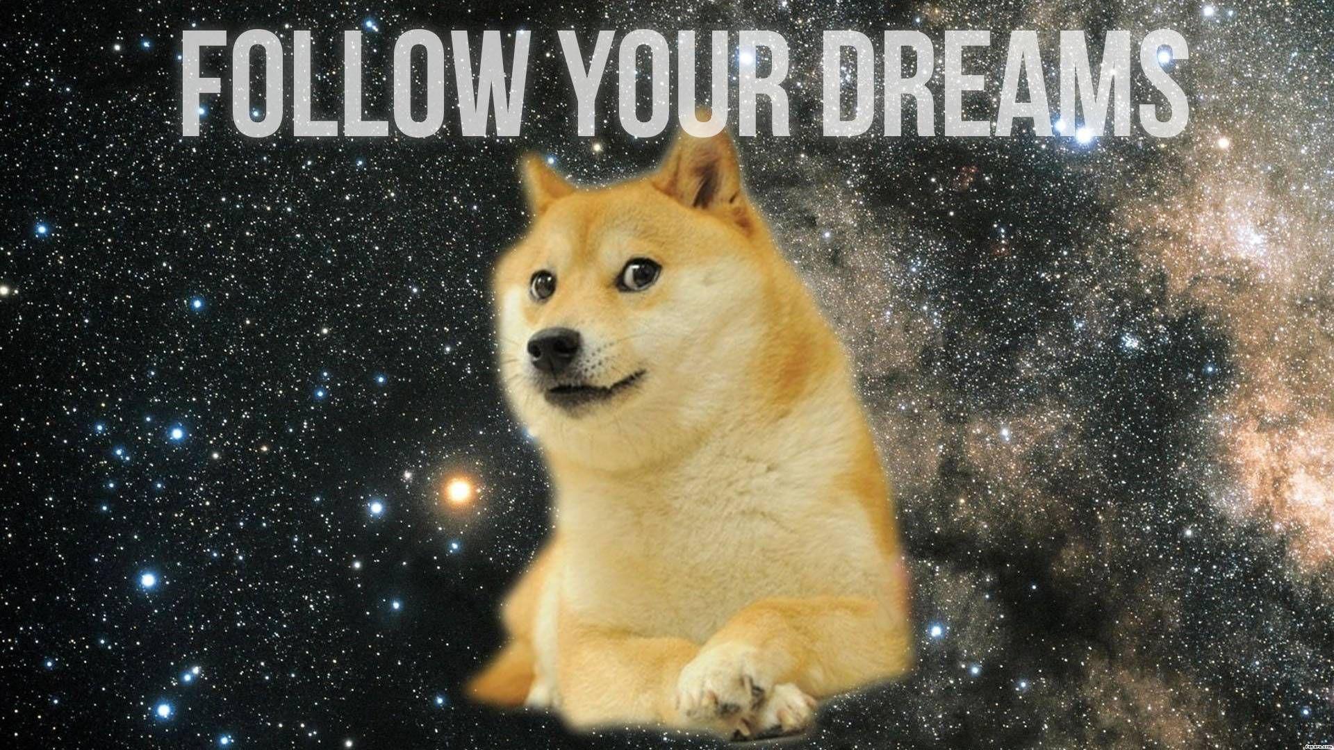 Download Doge Wallpaper Hd Backgrounds Download Itl Cat - doge hq roblox