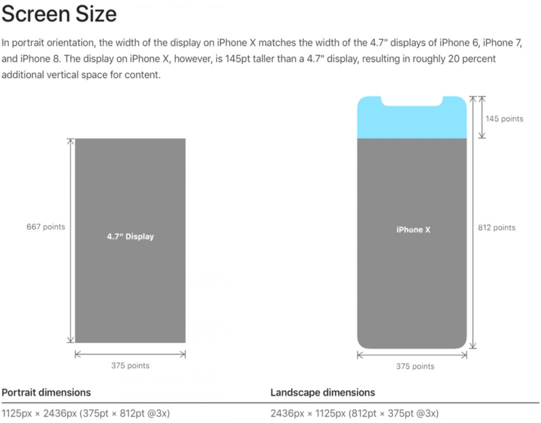 Iphone 11 Wallpaper Dimensions Photoshop