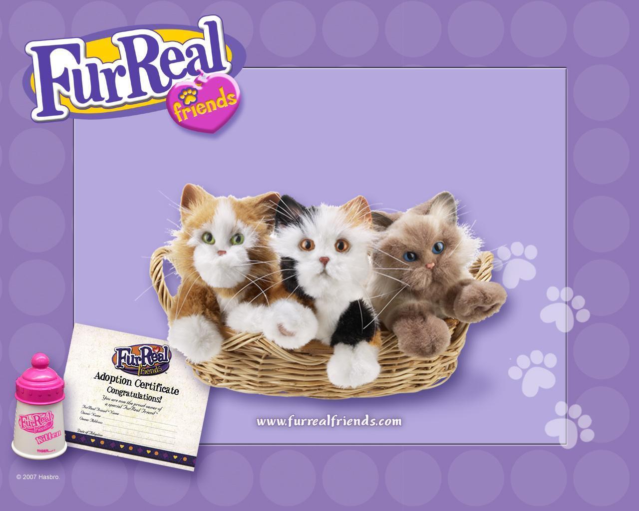 Kitty cat песня. FURREAL friends 2002 Cat. FURREAL friends 2002. Интерактивная кошка британец. BFF пушистые друзья.