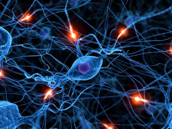 download brain neuron wallpaper hd backgrounds download itl cat brain neuron wallpaper hd backgrounds