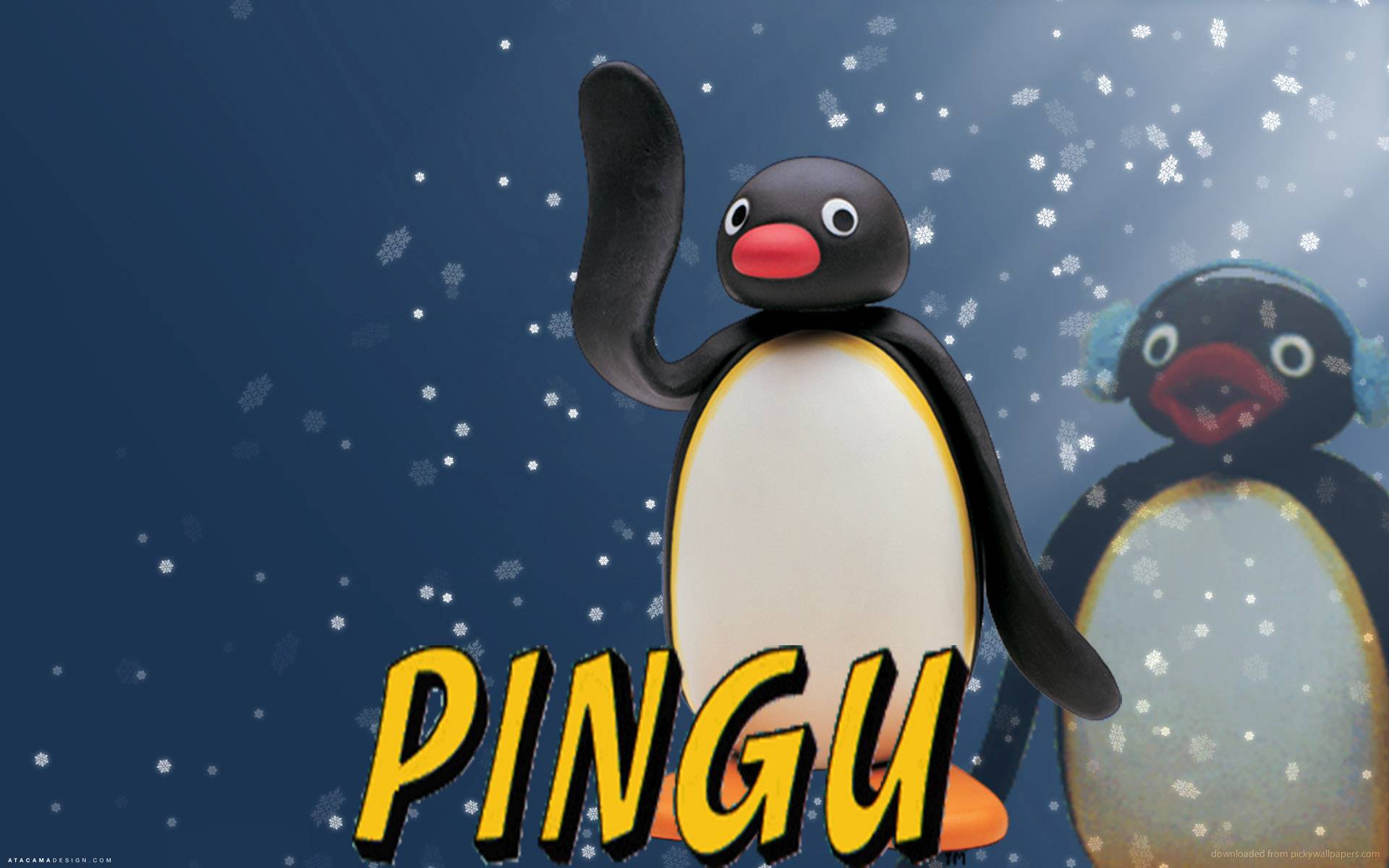 Пингу шоу. Pingu фон. Pingu Intro. Пинг картинка. Pingu logo.