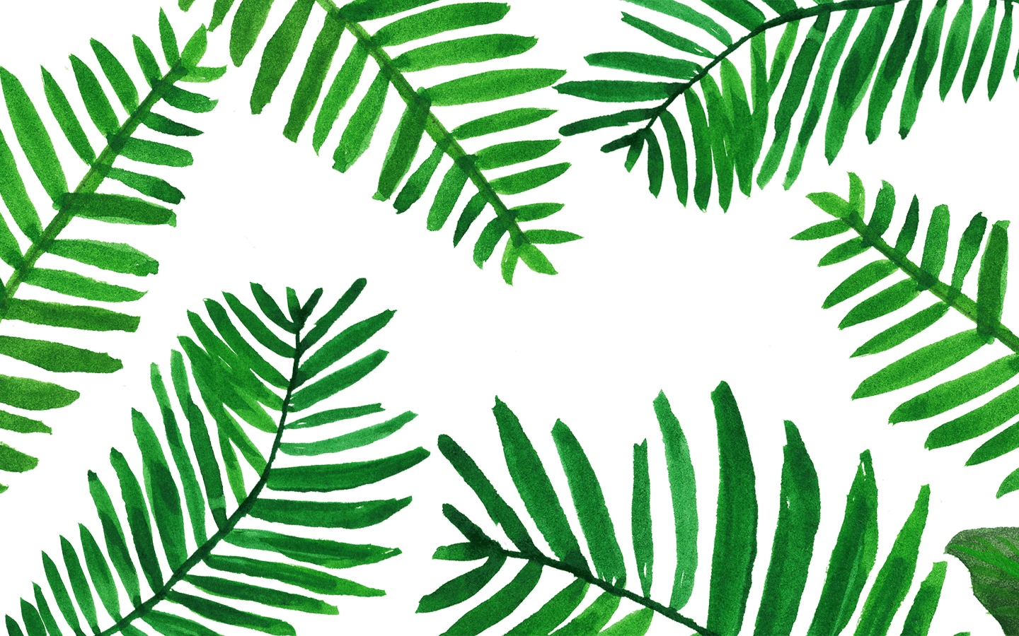 Palm Leaves Wallpaper From Www Palm Leaves Background Desktop Hd Wallpaper Backgrounds Download