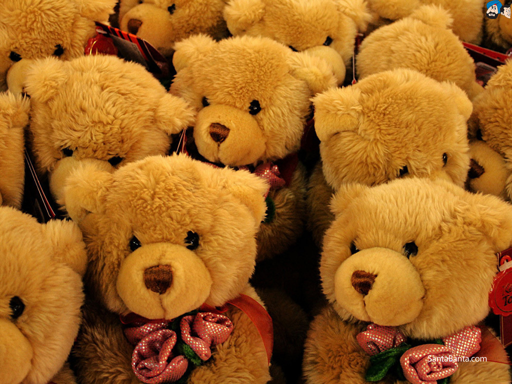 lots of teddy bears