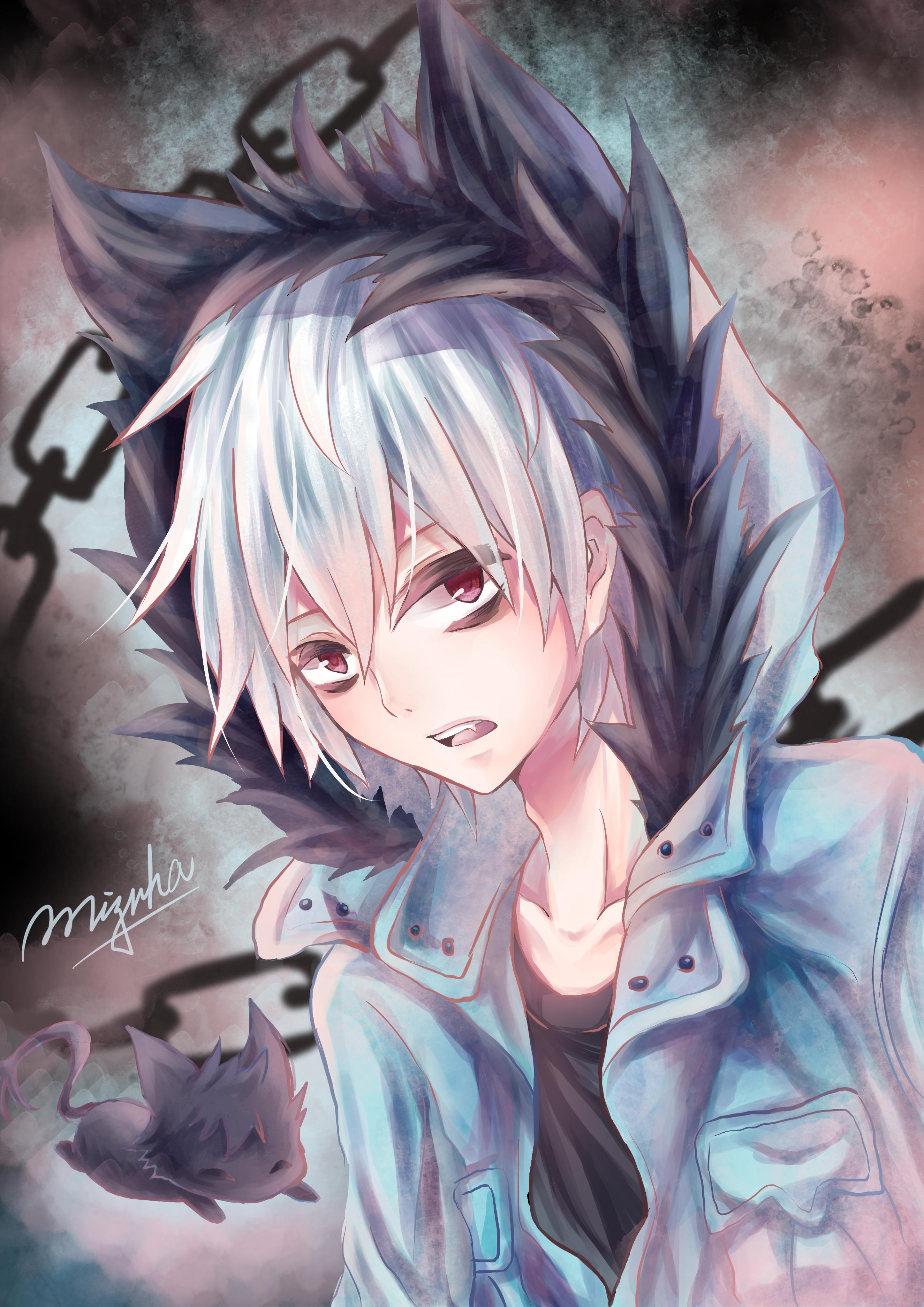 Servamp Kuro Wallpaper Hd Wallpaper Backgrounds Download