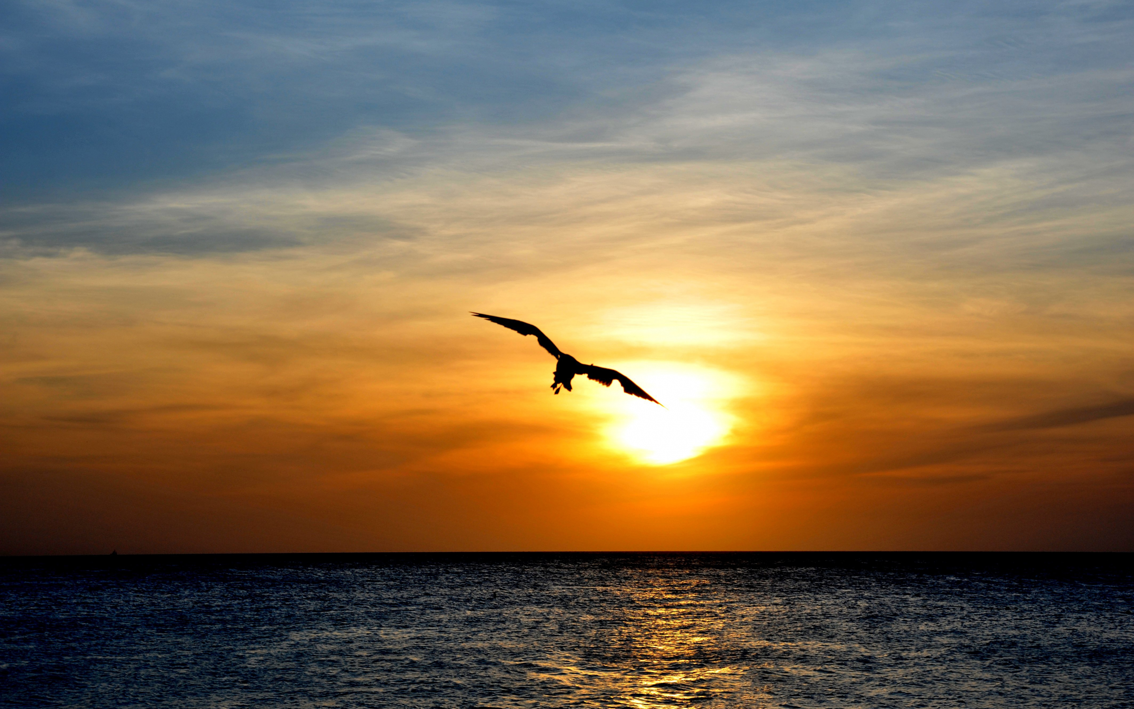 download-wallpaper-bird-flying-over-sea-sunset-skyline-bird-flying