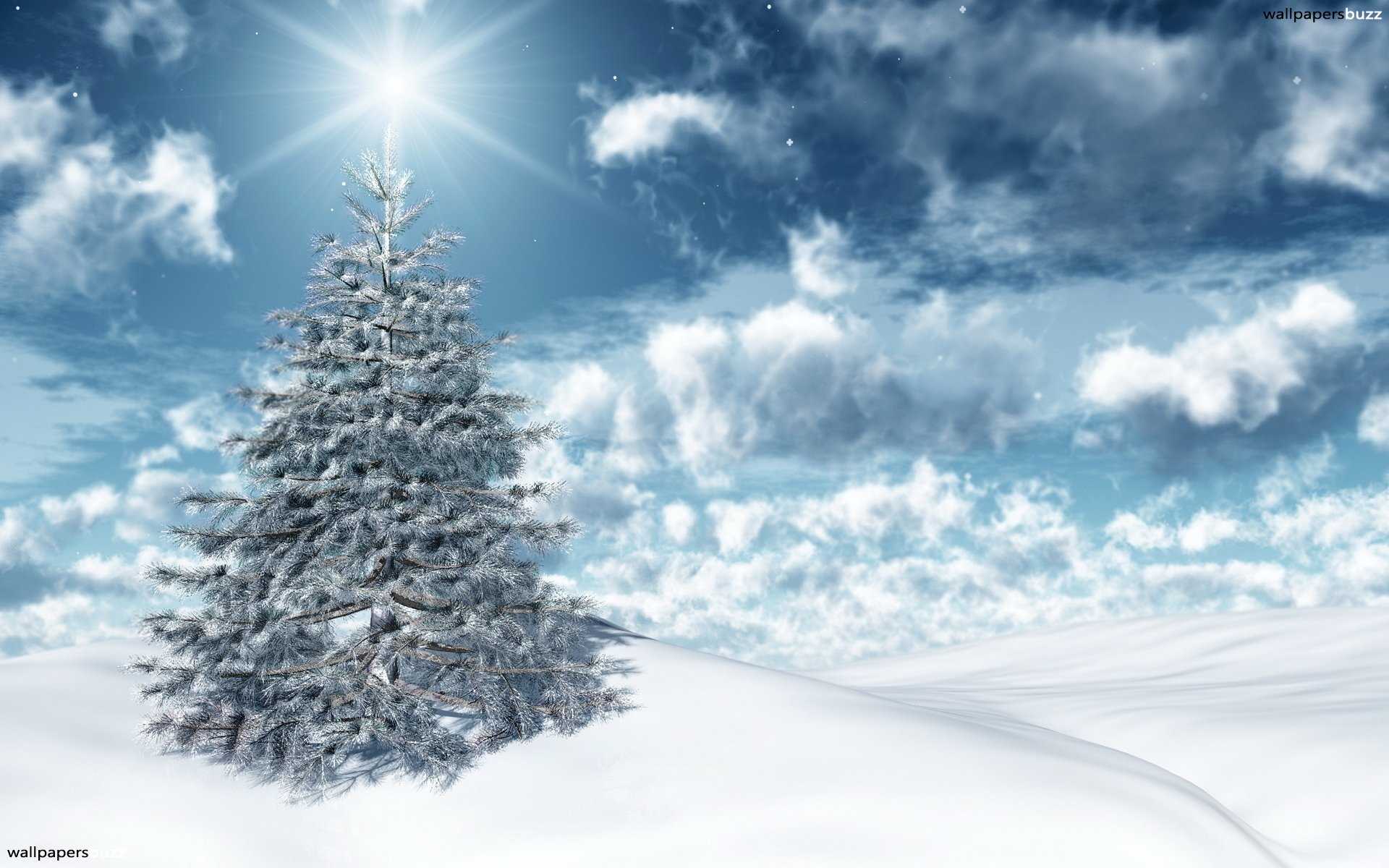 Download Christmas Tree - Christmas Tree And Snow On Itl.cat