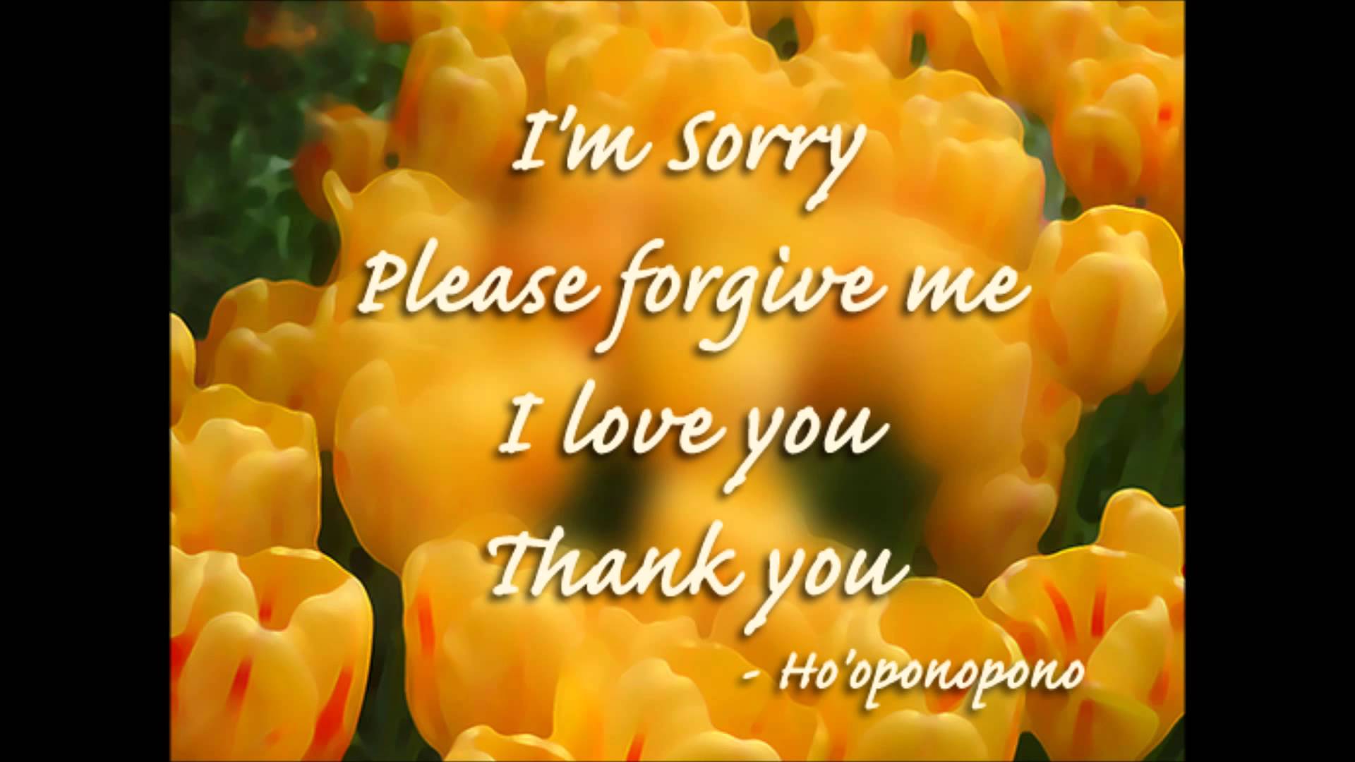 I M Sorry Please Forgive Me I Love You Images Please Forgive Me Quotes Hd Wallpaper Backgrounds Download