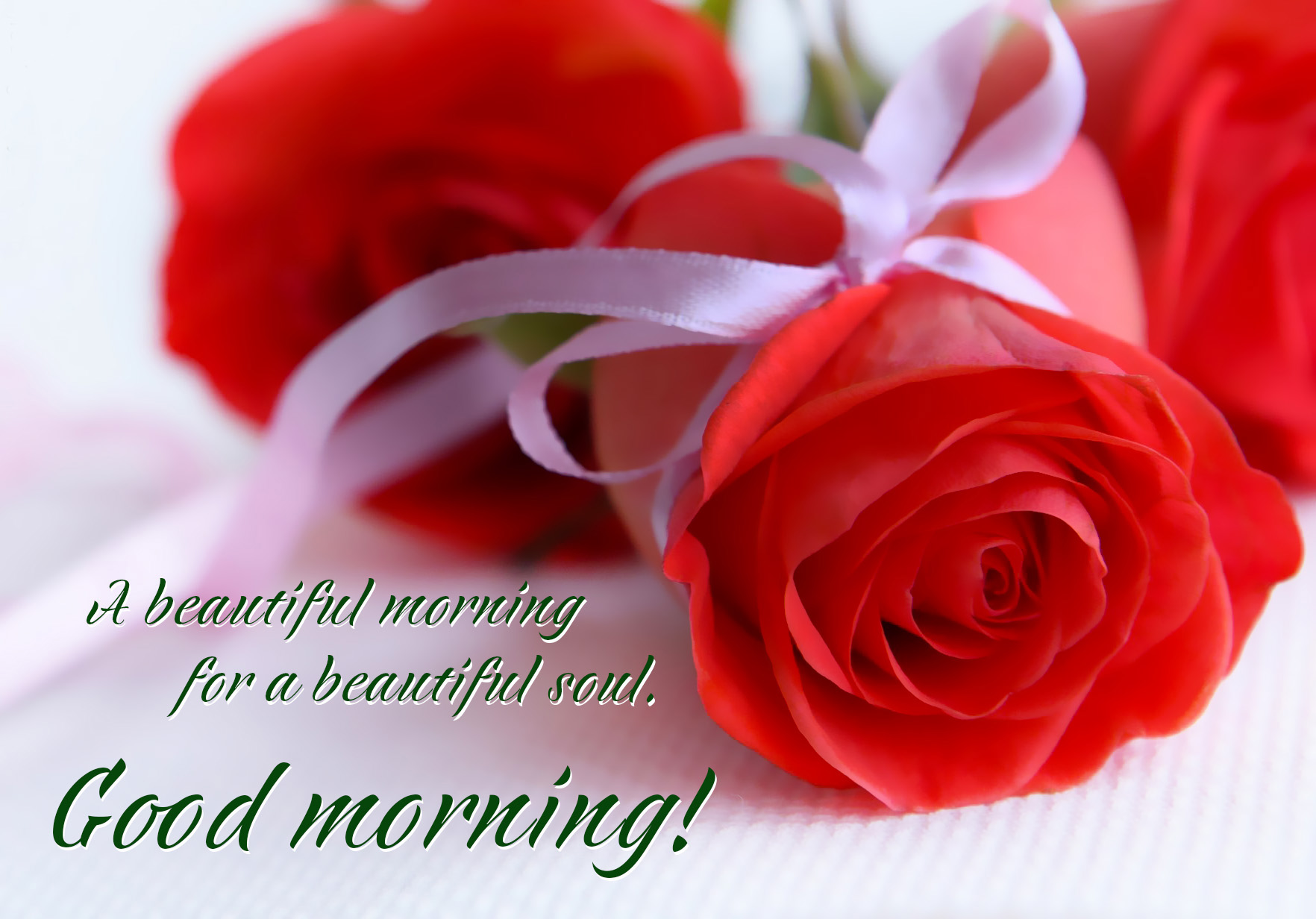 Good Morning My Love Rose Greetings1 Com - Good Morning Beautiful With ...