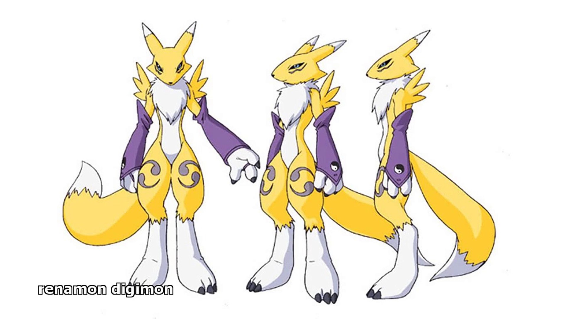 Download Digimon Renamon On Itl.cat