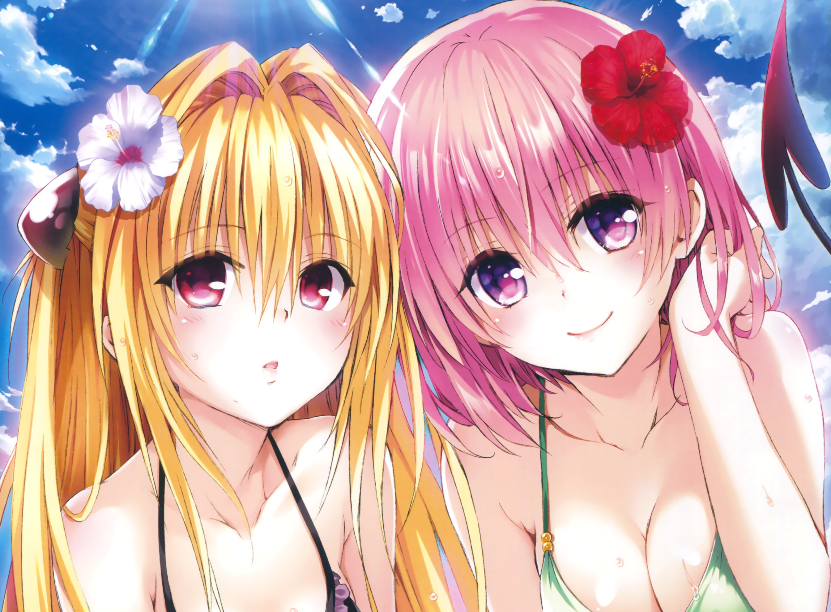 Yami And Momo - Love Ru Yami Momo , HD Wallpaper & Backgrounds