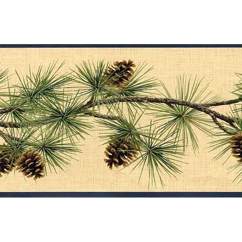 Download Pine Cone Wallpaper Borders Cones Border Lodge - Conifer Cone