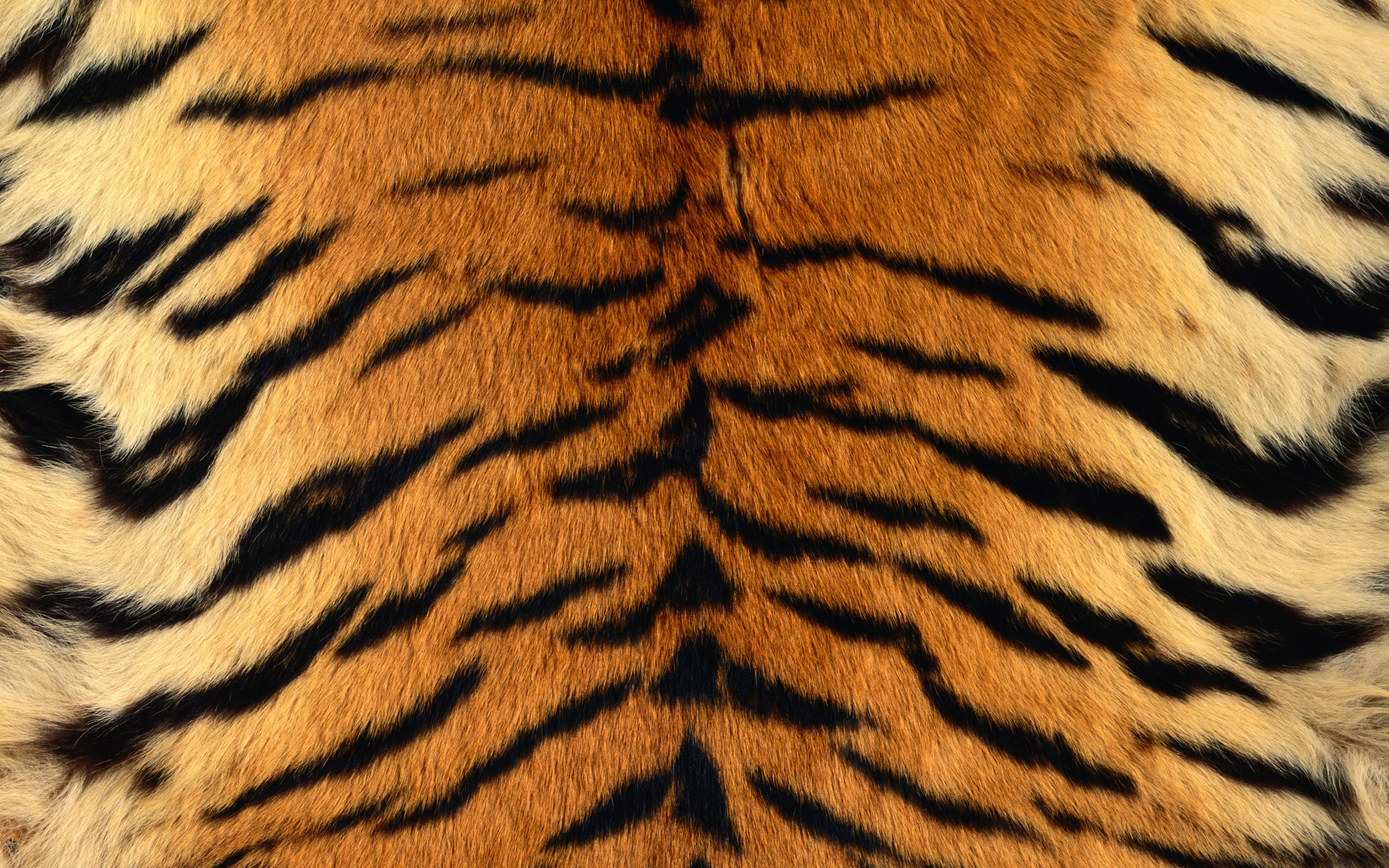 Big Cats, Leopard, Siberian Tiger, Animal Print, Pattern - Tiger Stripe ...