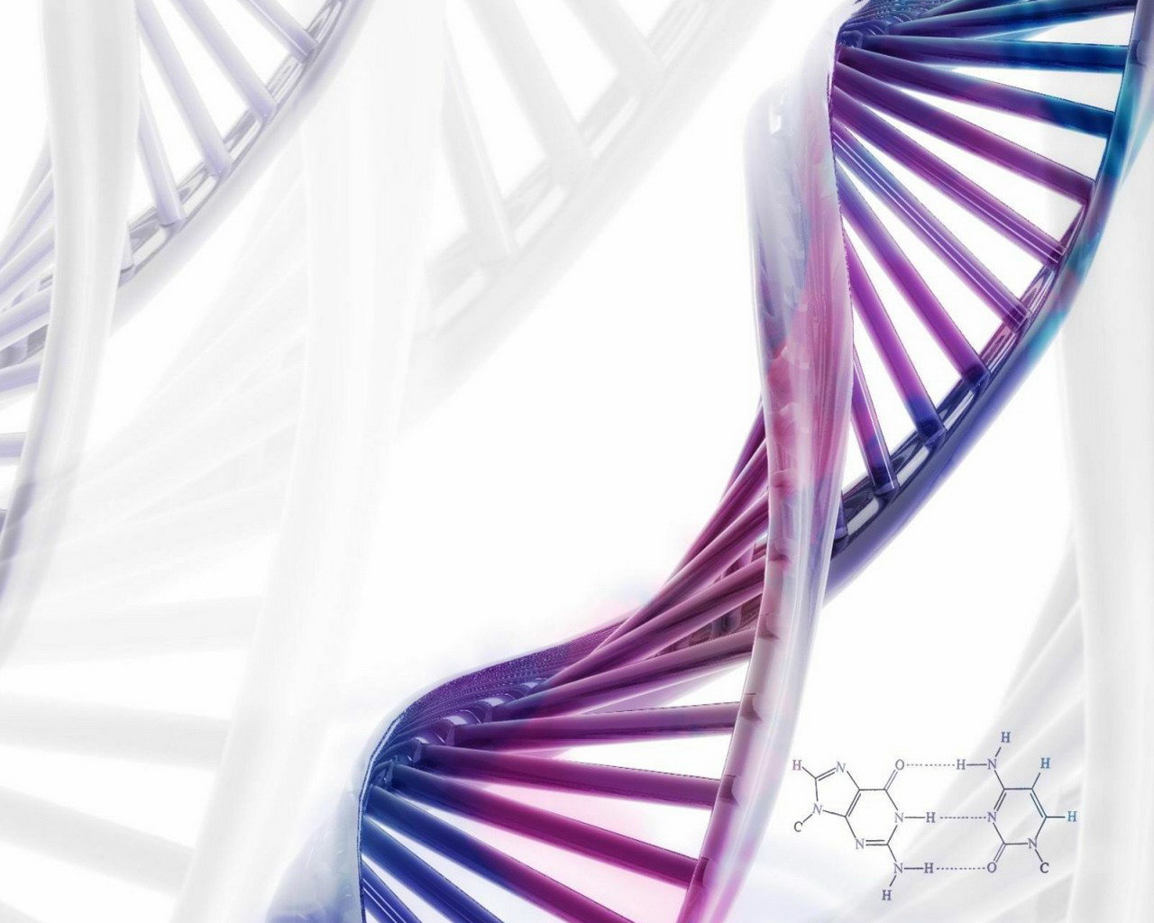 Best Dna Background Id - Background For Certificate In Science , HD Wallpaper & Backgrounds