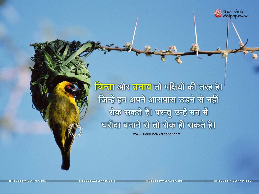 Suvichar In Hindi Wallpapers Images Free Download Bird Nest Hd Wallpaper