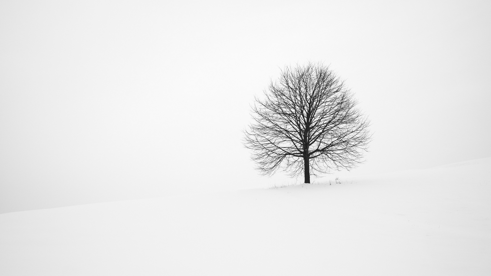 Download Tree Winter Snow Minimal Hd Wallpaper - Minimalist Winter Background On Itl.cat