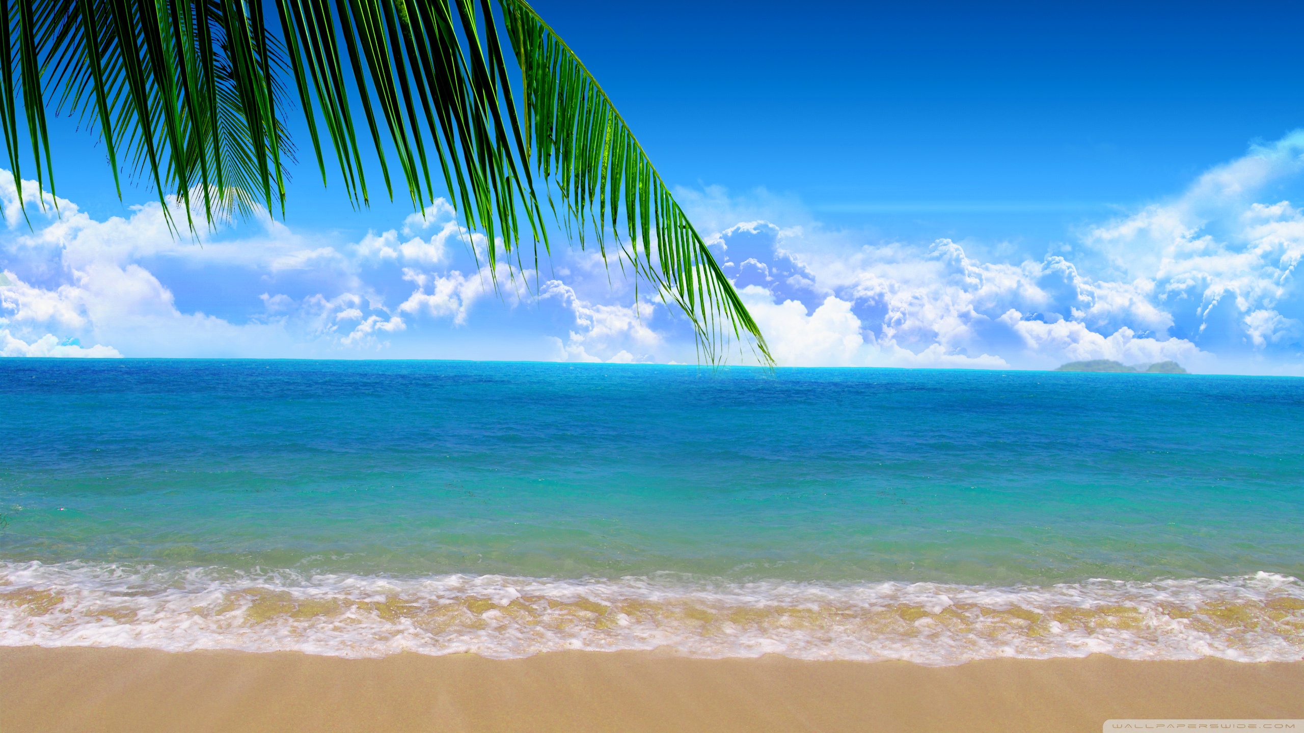 Standard - Beach Background (#2158326) - HD Wallpaper & Backgrounds ...