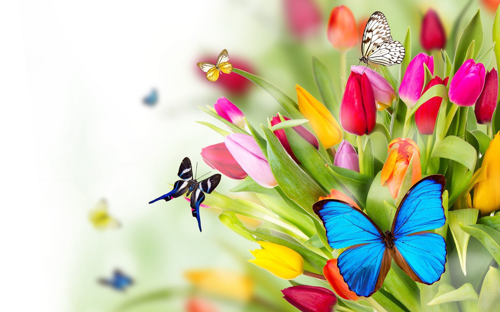 Download 22 Lente Wallpapers Met Bloemen Mooie Leuke - Butterflies On ...