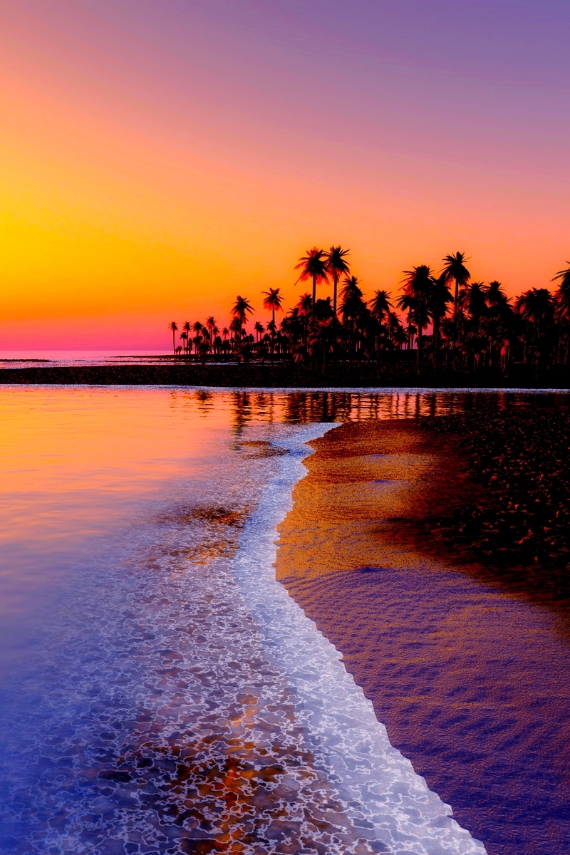 Download Wallpaper Beach, Tropics, Sea, Sand, Palm Trees, Sunset