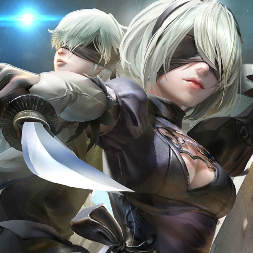 Download Nier Automata 2b And 9s On Itlcat 3180