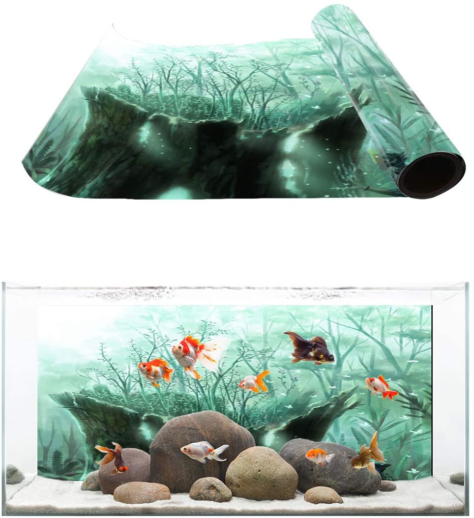 Aquarium (#2601350) - HD Wallpaper & Backgrounds Download