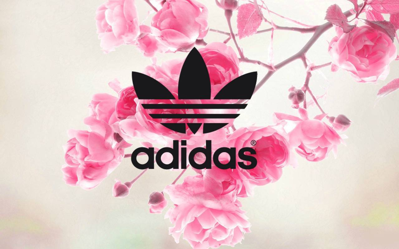 pink adidas wallpaper