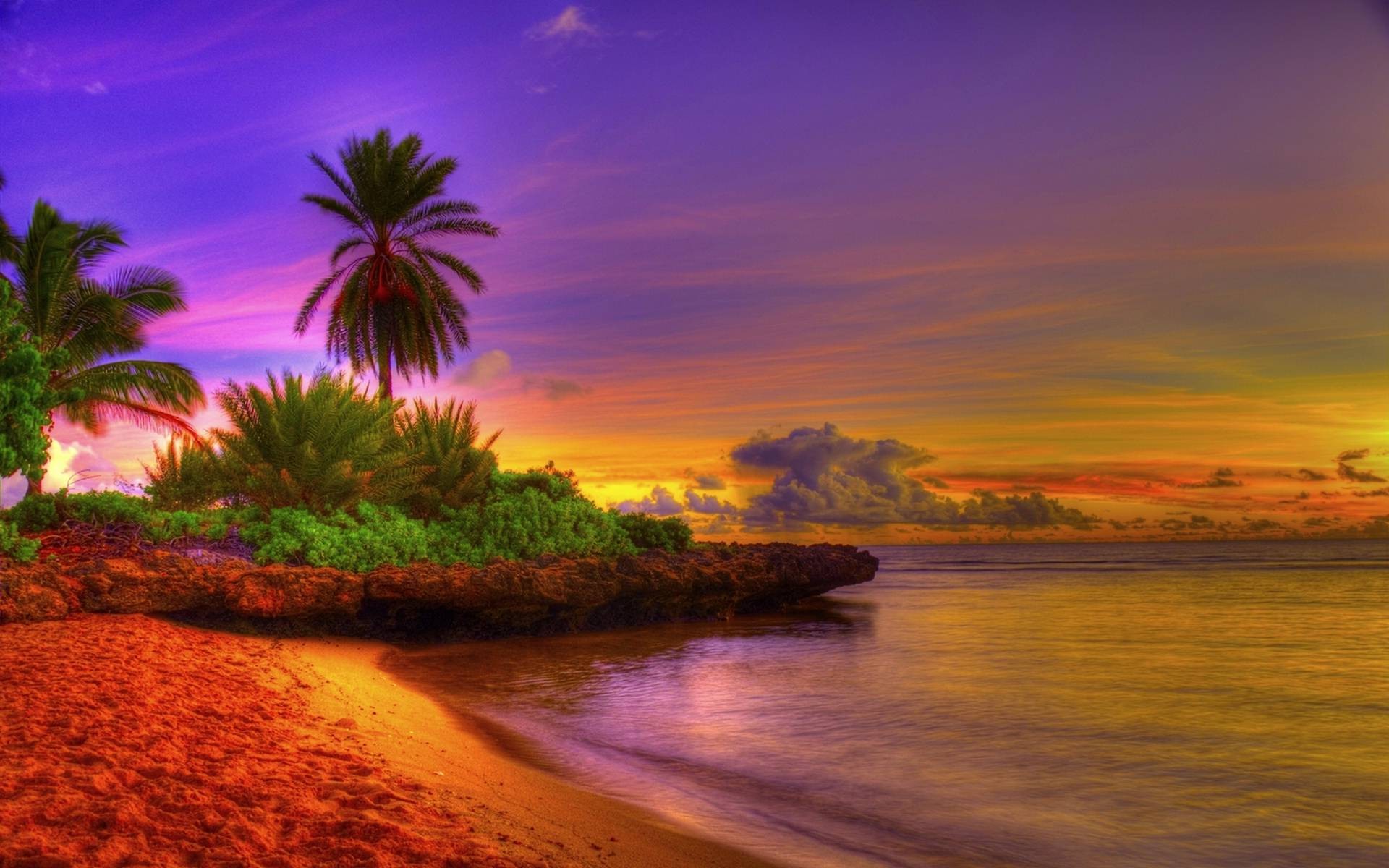 Colorful Sunrise Tropical Beach Image - Beautiful Beach Sunset Backgrounds , HD Wallpaper & Backgrounds