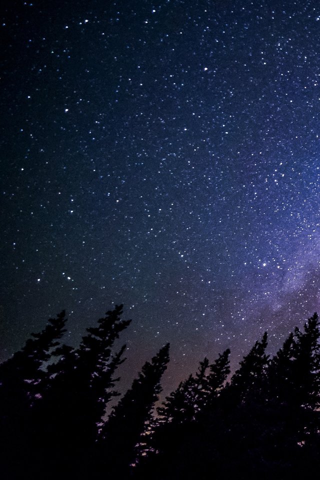 Scenic Milky Way Above Forest In Night Sky - Iphone Wallpaper Night Sky ...