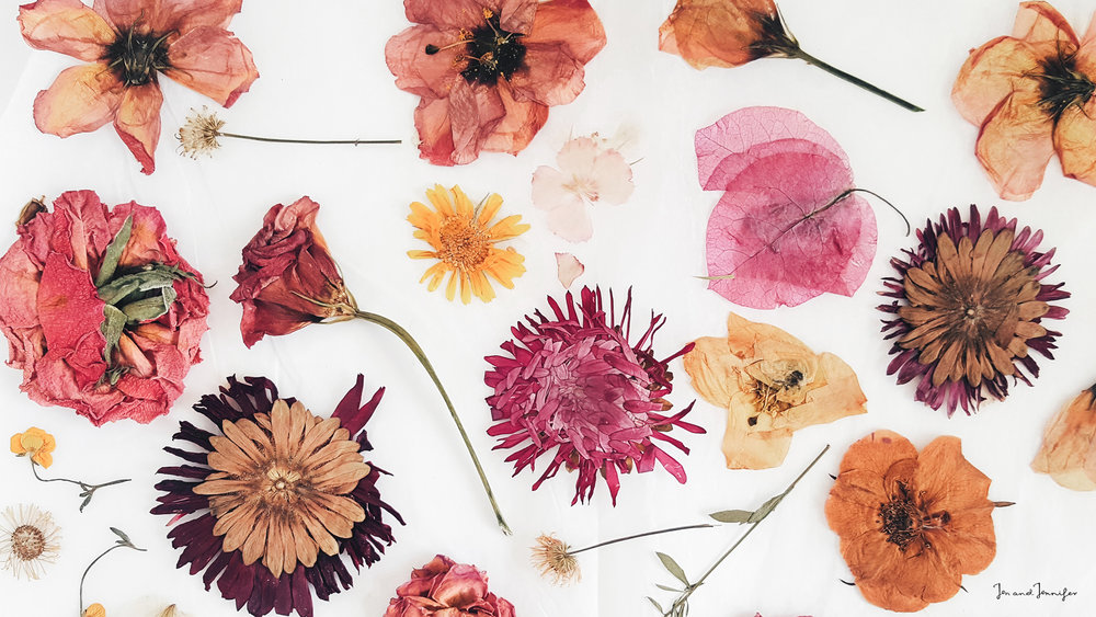 Download Pressedflowers Jenandjennifer Desktop Wallpaper - Pressed Flowers Wallpaper Desktop On