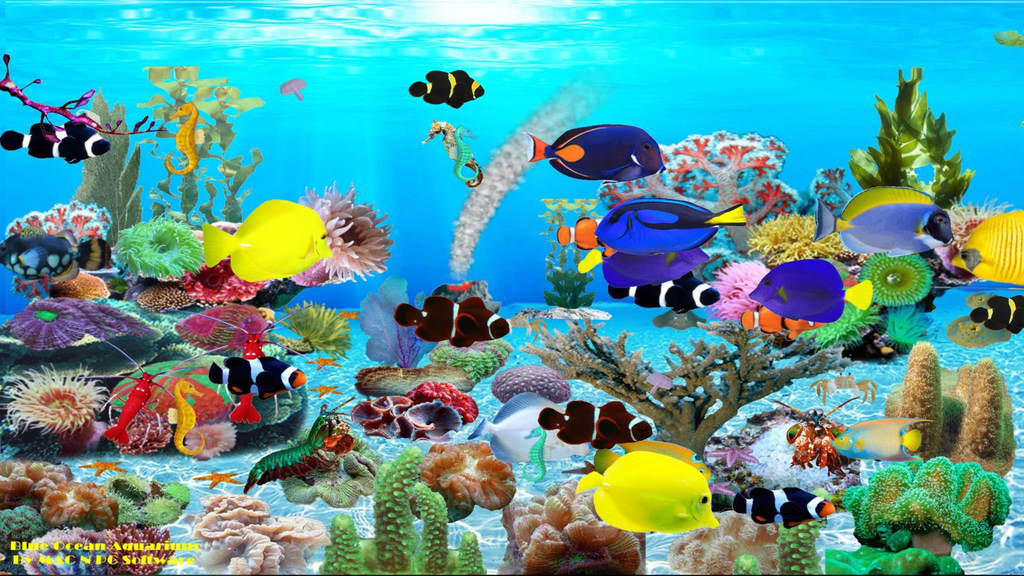 Download Blue Ocean Aquarium Wallpaper - Ocean Aquarium Fish On Itl.cat