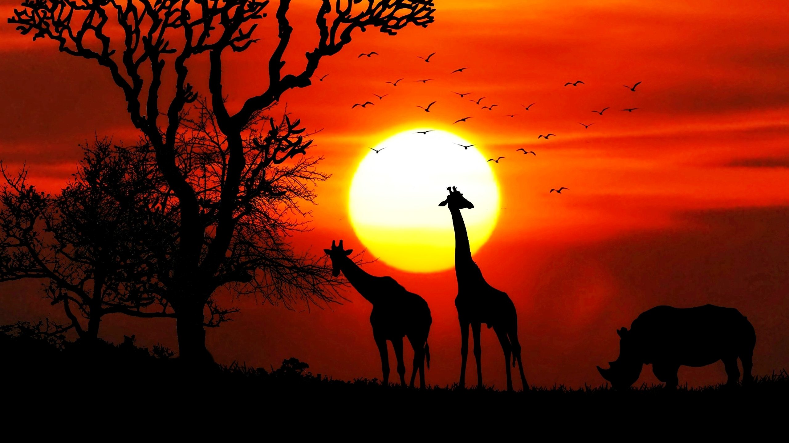Картина Африка закат
