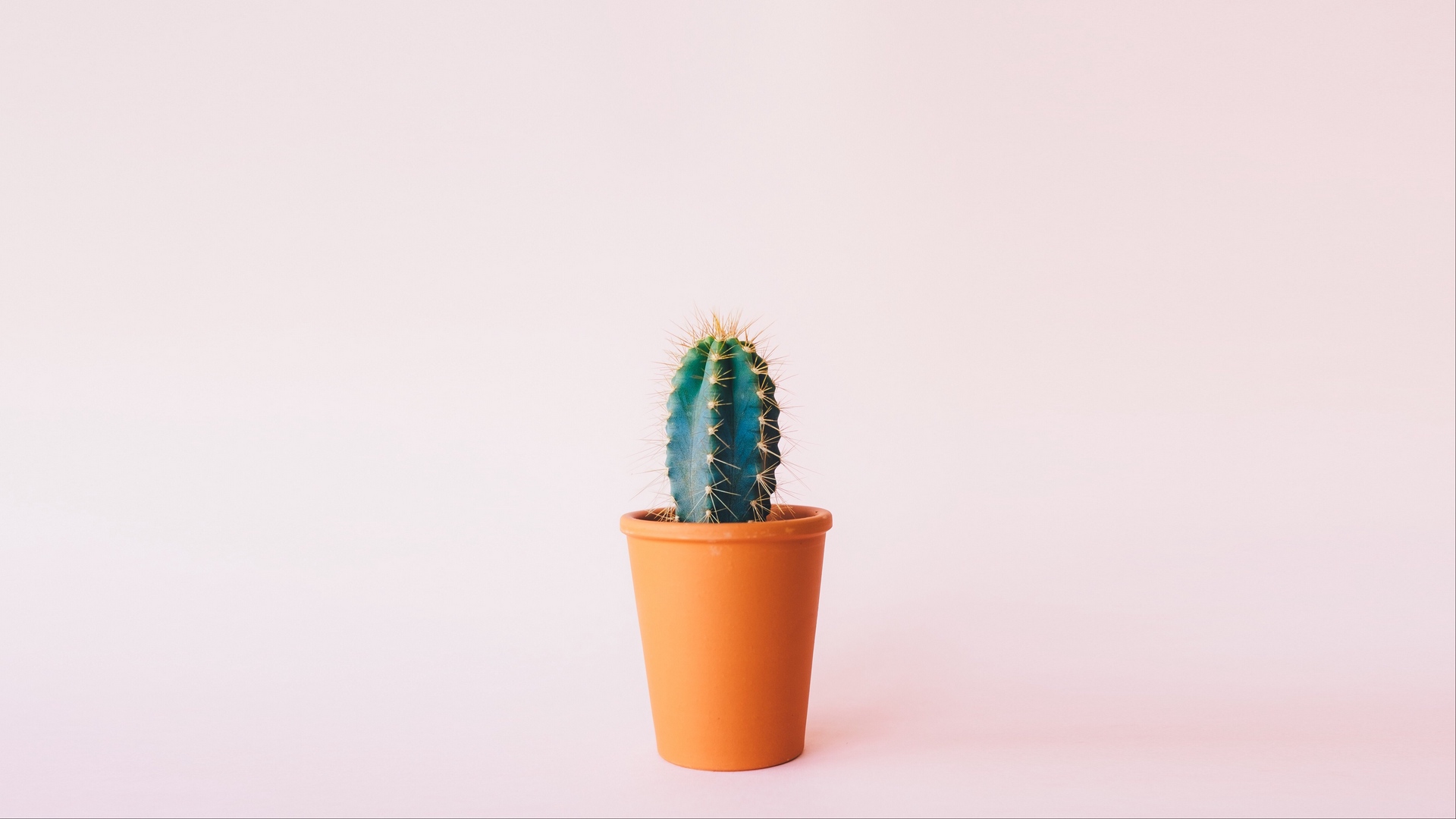 Cactus Minimal Hd Wallpaper - Pastel Minimalist Wallpaper Desktop