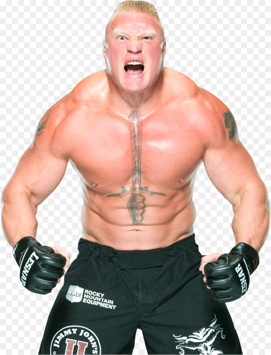 Brock Lesnar Professional Wrestling - Holy Family Catholic Church , HD Wallpaper & Backgrounds