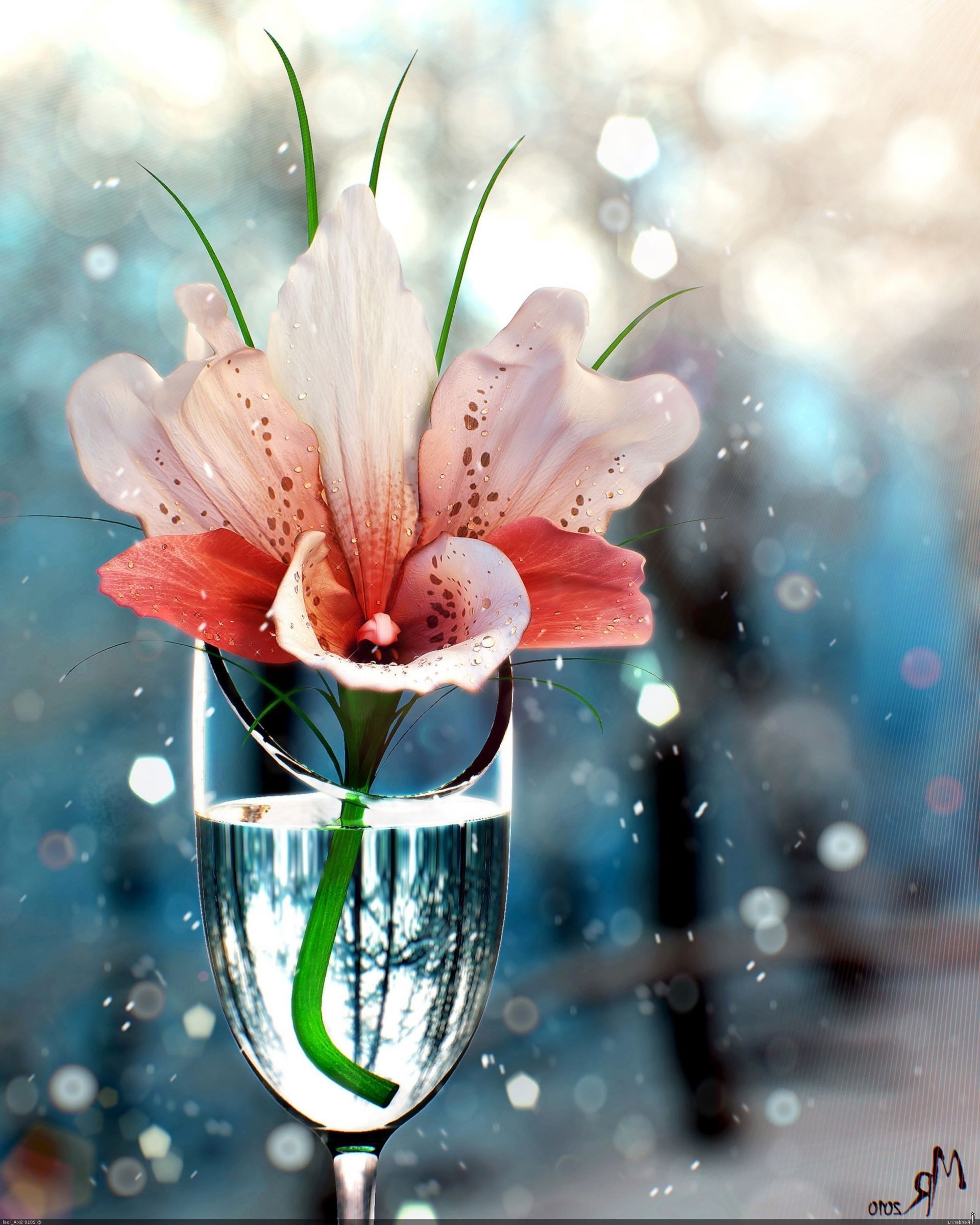 Flowers Flower Nature Flora Romantic Summer Bright - Glass Of Water Flowers , HD Wallpaper & Backgrounds