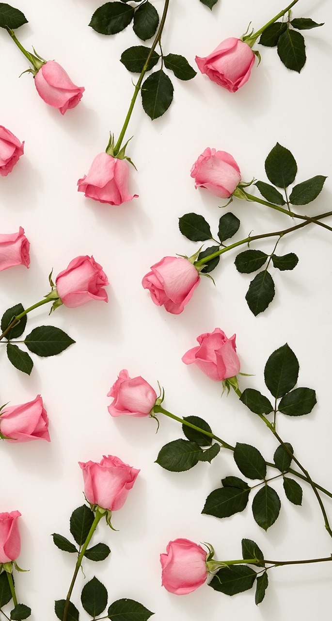 35+ Trends For Flower Rose Beautiful Full Screen Lock Screen Wallpaper
Hd