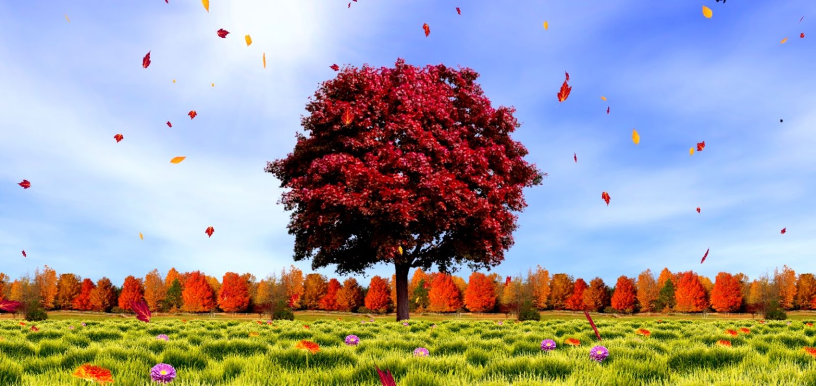 Download Delightful Ideas Fall Live Wallpaper Top 11 Autumn - Autumn 