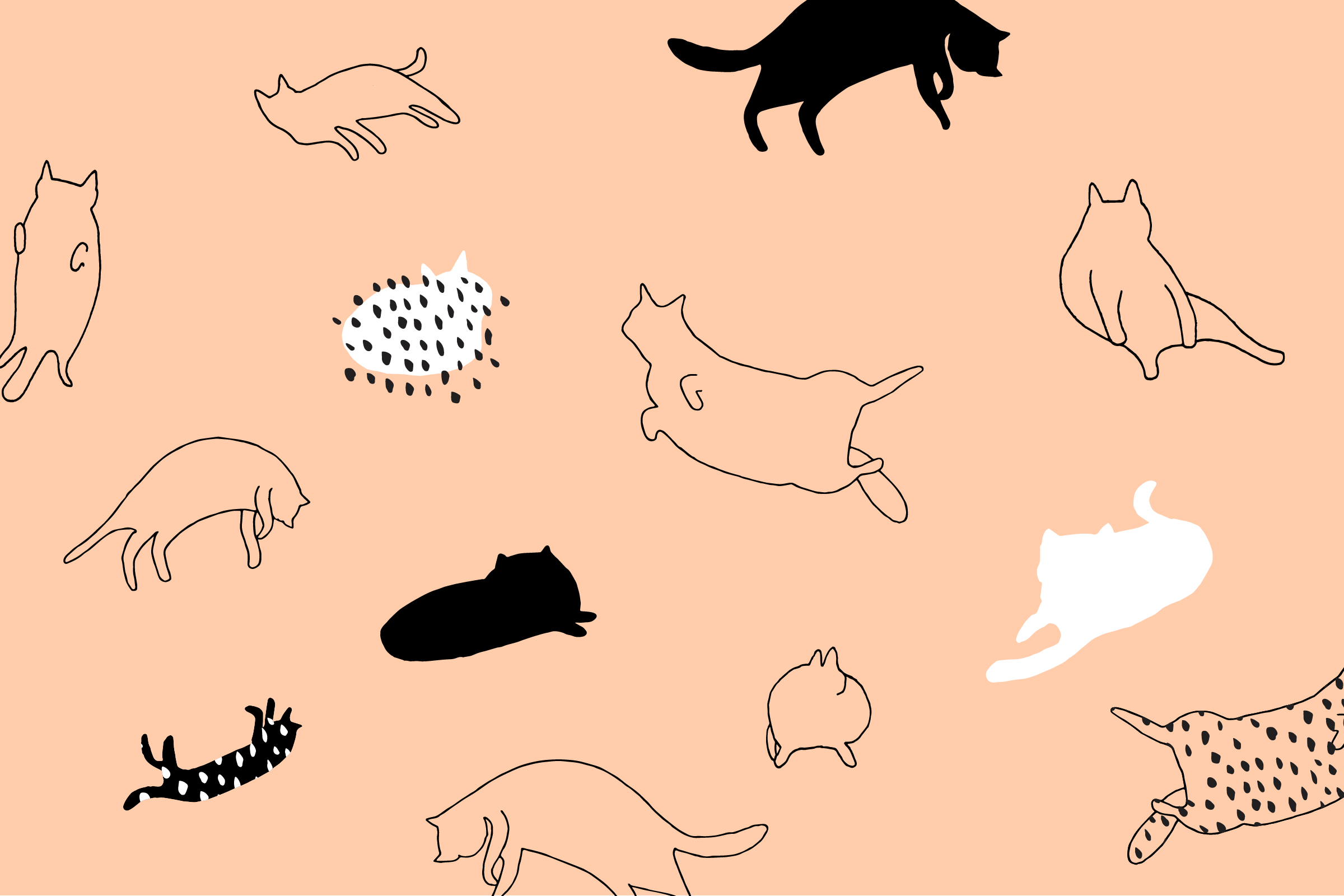 download free cartoon cat wallpapers desktop wallpaper cats 478452 hd wallpaper backgrounds download download free cartoon cat wallpapers