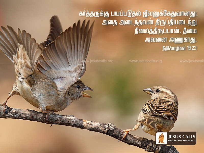 Jesus Vasanam Tamil Wallpaper Holy Bible Verses In Tamil 532896 