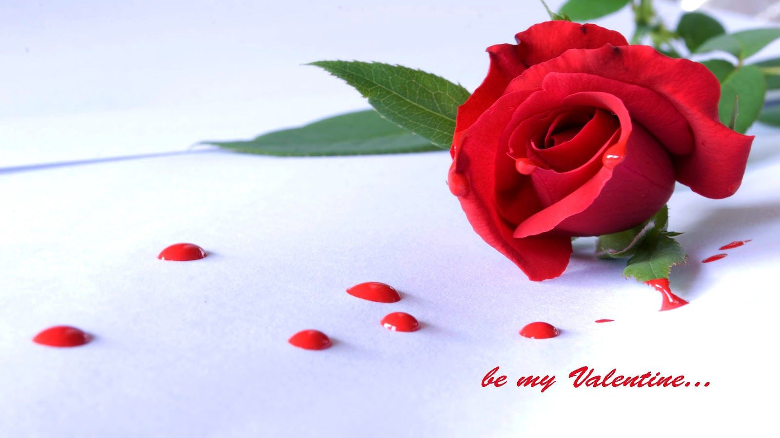 Happy Rose Day Wallpapers Hd Download Free 1080p Gulab I Love