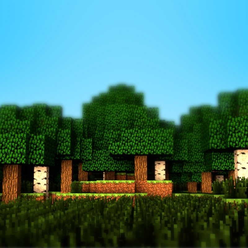 Featured image of post Minecraft Background 800X800 Browse and download minecraft background maps by the planet minecraft community