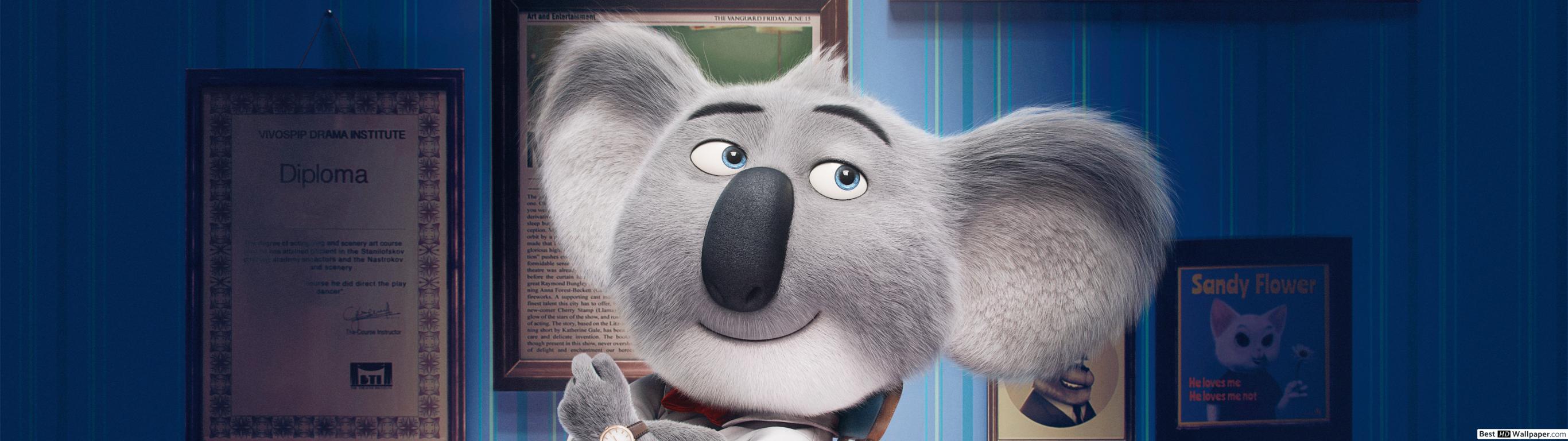 Sing Movie Koala , HD Wallpaper & Backgrounds