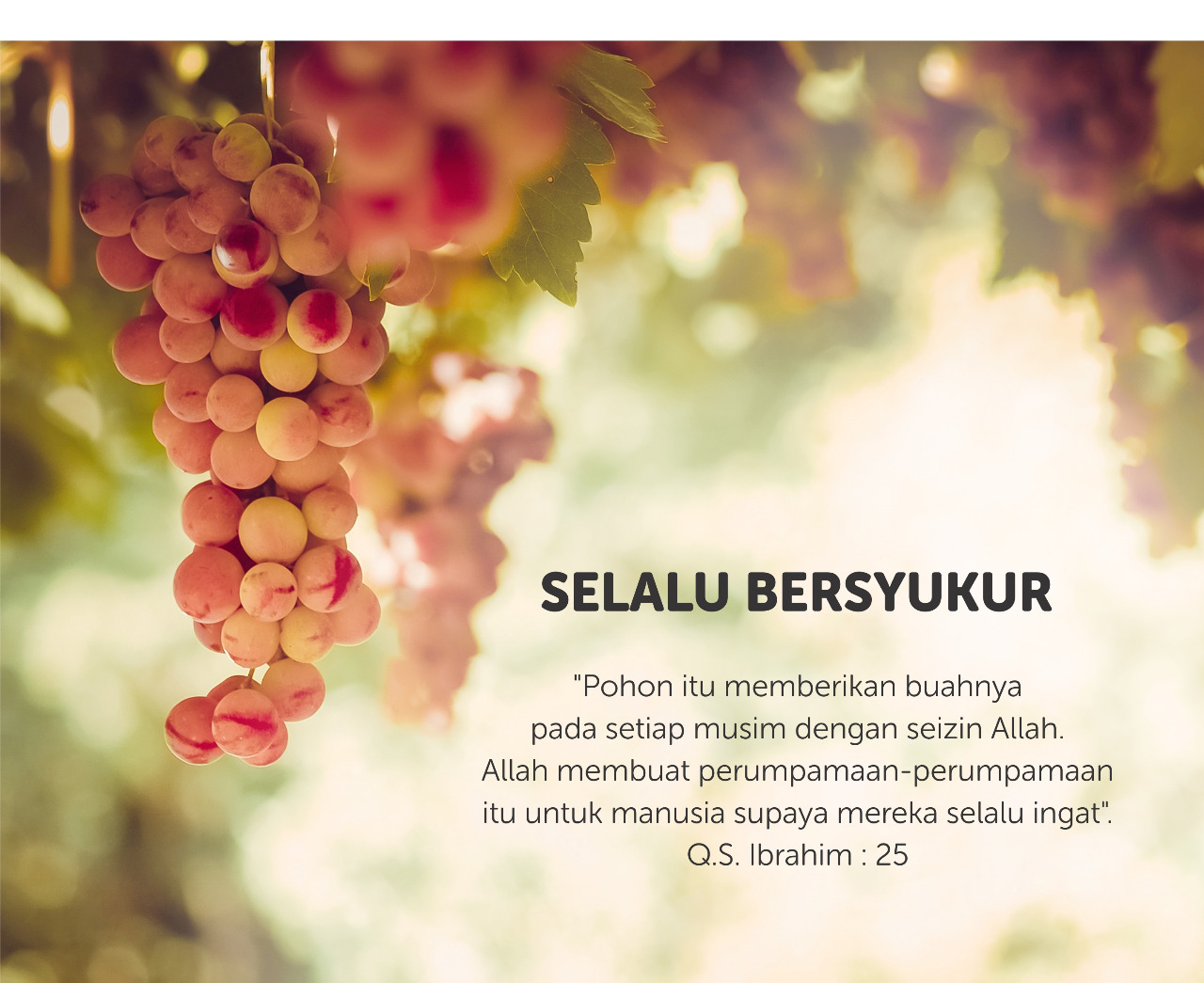 Download Wallpaper Bersyukur - Ayat Alquran Tentang Bersyukur On Itl.cat