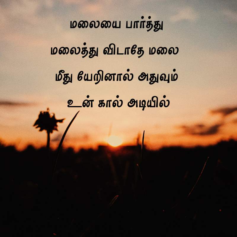 292 Best Motivational Quotes In Tamil Images For Students Tamil 