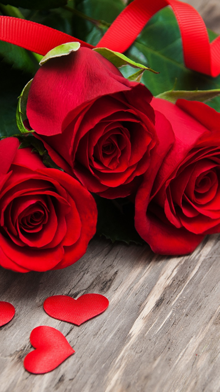 Heart, Petal, Love, Rose Family, Flower Hd Wallpaper - Valentine Day ...