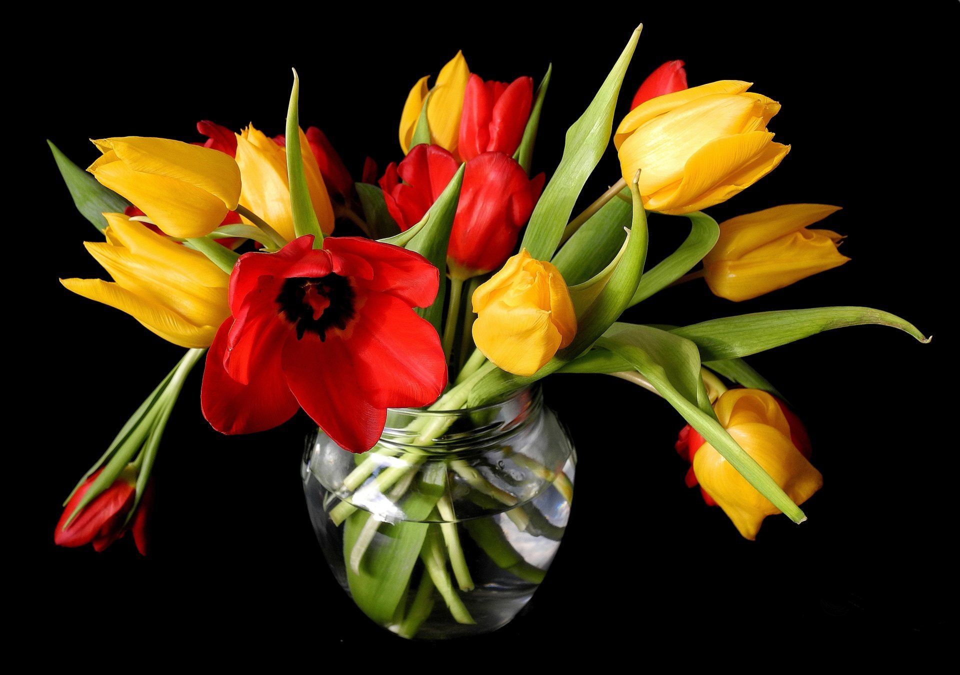Spring Tulips Yellow Red Vase Flower Buds Black Background - Spring Flowers Black Background , HD Wallpaper & Backgrounds